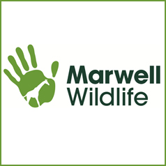 Marwell Wildlife