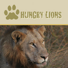 Hungry Lions