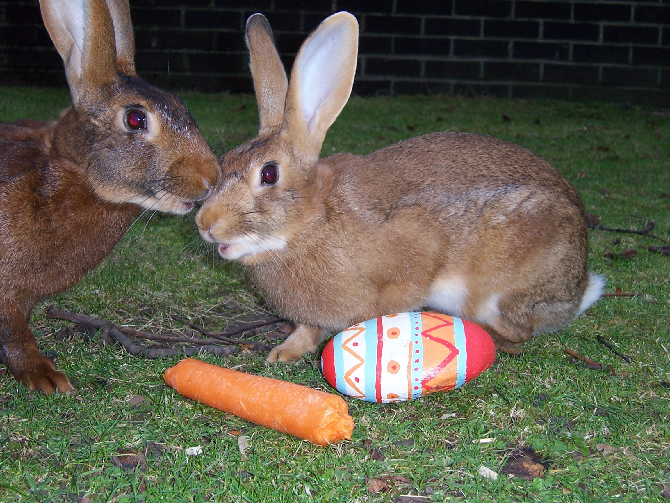 Battersea Zoo Easter Egg Hunt